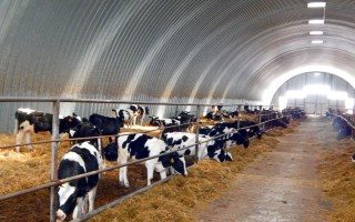 Строительство ангаров для фермы